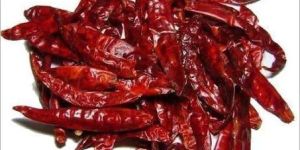 Dry Red Chilli