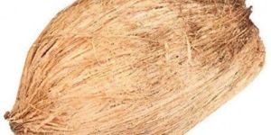 Dried Coconut Husk