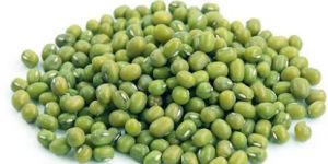 Green Moong Dal