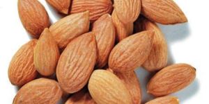 Bitter Apricot Kernels