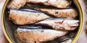 Canned Sardine Fish