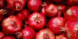 a Grade Pomegranate