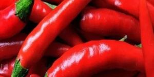 a Grade Red Chilli