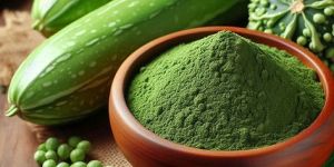 Bottle Gourd Powder