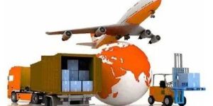 Cargo Transportation Services
