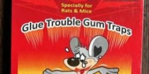 Catch O Rat Gum Trap