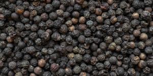 Organic Black Pepper Seeds
