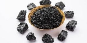 Shilajit Extract