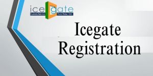 ICEGATE Registration Service