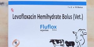 Levofloxacin Hemihydrate Bolus