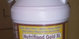 Nutriflood Gold XL Veterinary Syrup