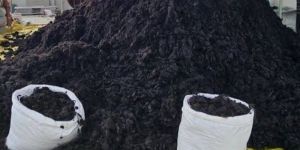 Raw Human Hair
