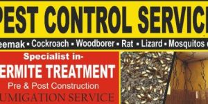 Rats Control Services
