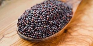 Black Small Sortex Mustard Seeds