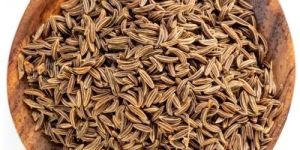 European Quality Cumin Seeds