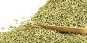 European Quality Fennel Seeds