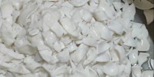 Frozen Tender Coconut Kernel Slice