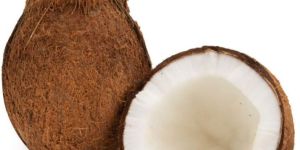 Fresh Brown Coconut