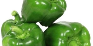Fresh Green Capsicum