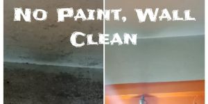 Wall Wet Cleaning Services