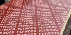 Plywood Boards