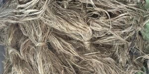 Banana Fiber Uncombed