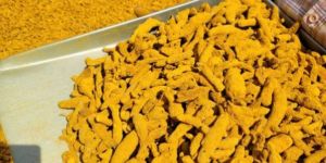 Turmeric