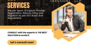 Gst Consultant