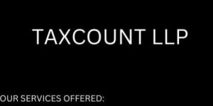 Income Tax Consultant