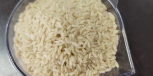 Fortified Rice Kernels