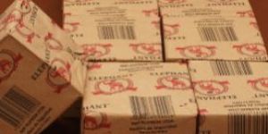 Cardboard Safety Matches