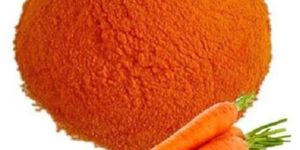 Carrot Powder