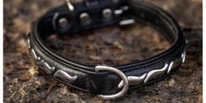 Leather Dog Collar