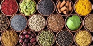 Indian Spices