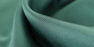 Tamarind Kernel Powder