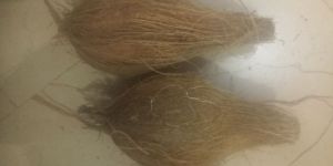 Small Size Husked C Coconuts
