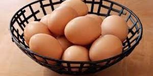 Sonali Hatching Eggs