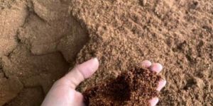Coir Pith Powder
