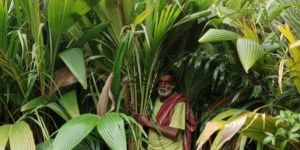 Gangabardhan Coconut Plant