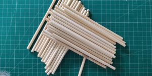 Bamboo Kulfi Sticks