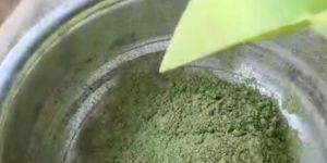 Moringa Powder