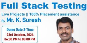 Full Stack Testing Service