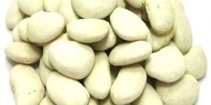 Lima Beans