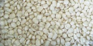 White Maize Seeds