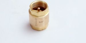Brass Vertical Check Valve