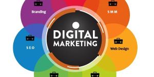 Web Portal Development