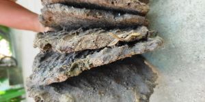 Desi Pure Cow Dung Cake