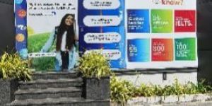 Educational Consultants