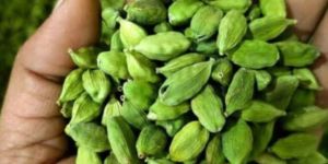 Green Cardamom