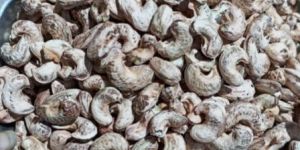 Cashew Nut Shell